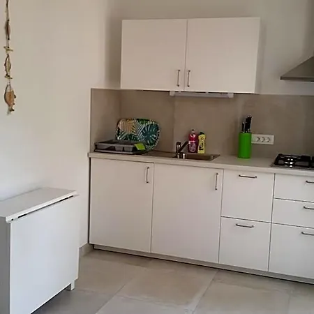 Mimoza 3*