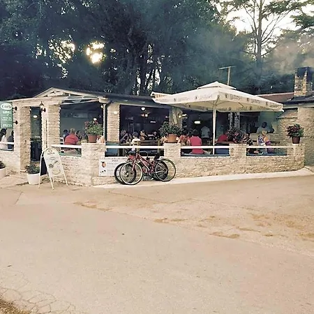酒店 Mimoza 乌马格