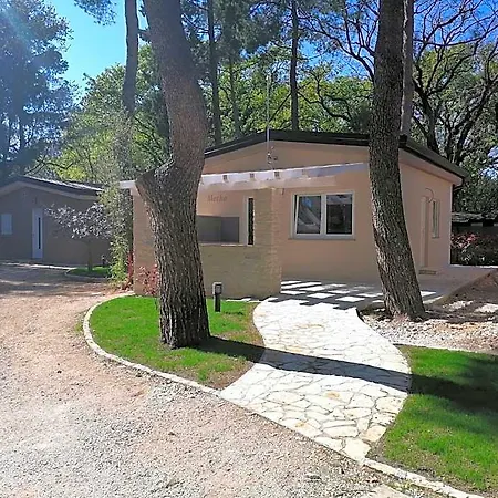 Mimoza 3*